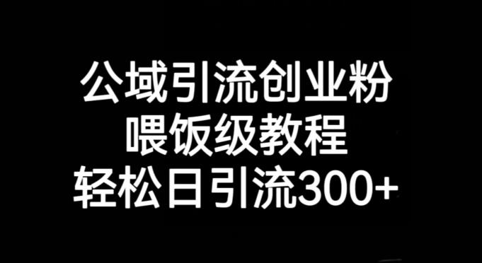 公域引流创业粉，喂饭级教程，轻松日引流300+【揭秘】-huitchan