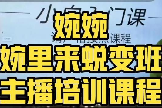 婉婉·婉里来蜕变班（主播课）全方位理解底层逻辑并灵活运用-huitchan网创