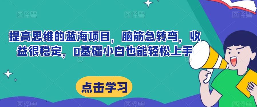 提高思维的蓝海项目，脑筋急转弯，收益很稳定，0基础小白也能轻松上手-huitchan网创