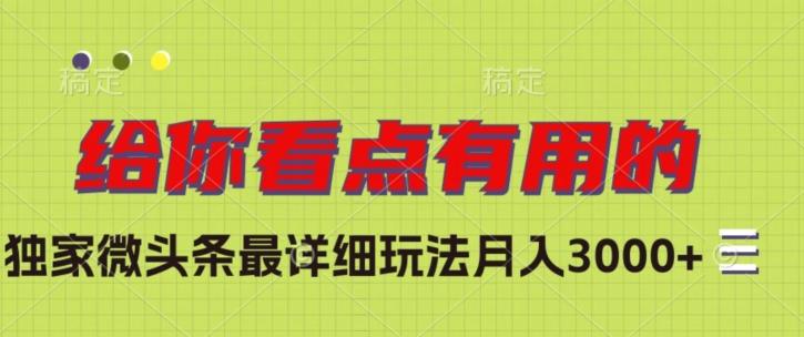 独家微头条最详细玩法，月入3000+【揭秘】-huitchan网创