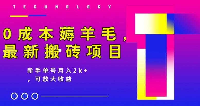 0成本薅羊毛，最新搬砖项目，新手单号月入2k+，可放大操作-huitchan网创