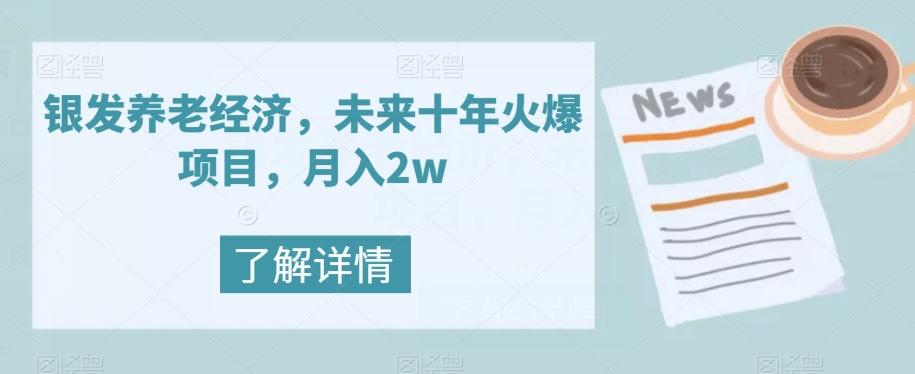银发养老经济，未来十年火爆项目，月入2w【揭秘】-huitchan网创