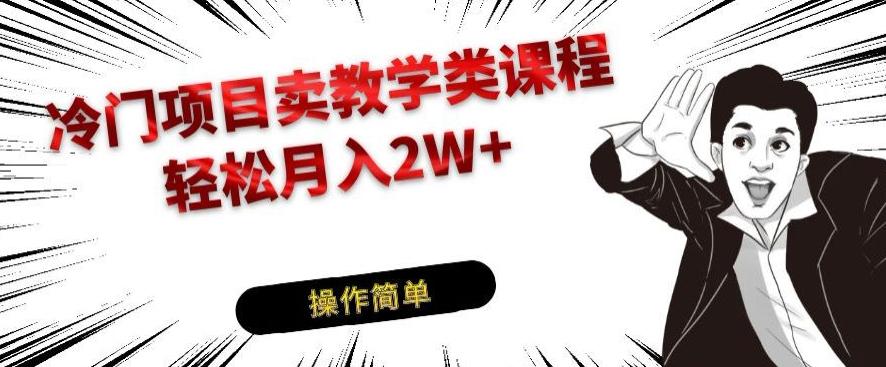 冷门项目卖教学类课程，轻松月入2W+-huitchan网创