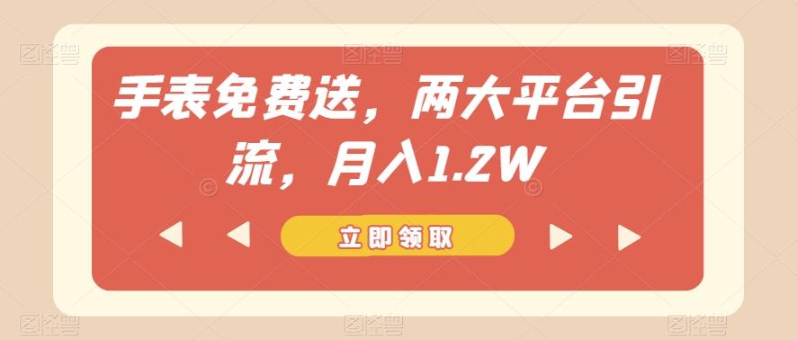 手表免费送，两大平台引流，月入1.2W【揭秘】-huitchan
