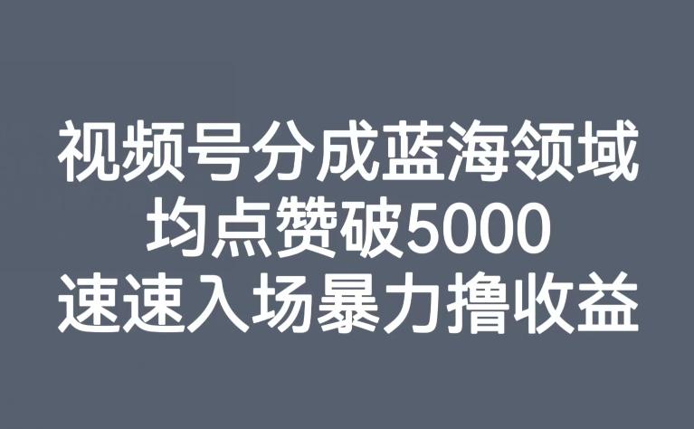 视频号分成蓝海领域，均点赞破5000，速速入场暴力撸收益-huitchan网创
