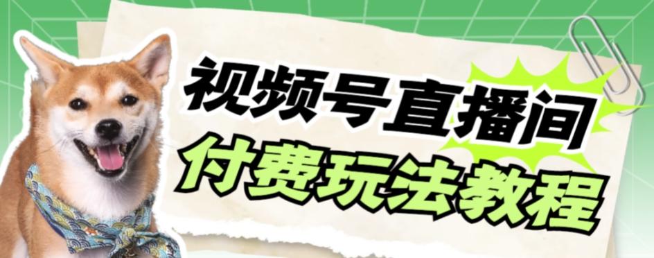 视频号美女付费无人直播，轻松日入500+【详细玩法教程】-huitchan网创