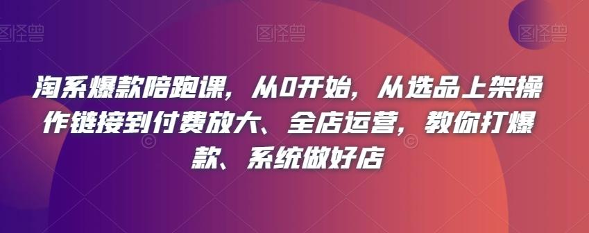 淘系爆款陪跑课，从0开始，从选品上架操作链接到付费放大、全店运营，教你打爆款、系统做好店-huitchan网创