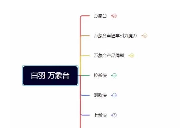 白羽·直引万搜索全篇，从0-1，多个类目实操经验总结付费-huitchan网创