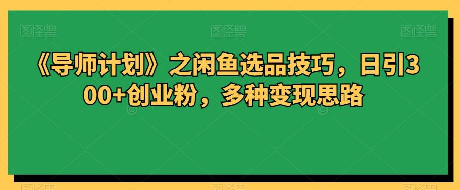《导师计划》之闲鱼选品技巧，日引300+创业粉，多种变现思路-huitchan
