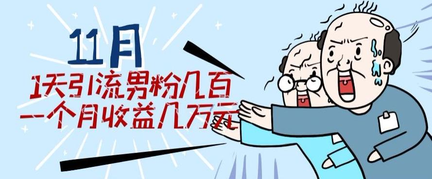 11月最新每天引流男粉300+一个月收益几万元-huitchan网创