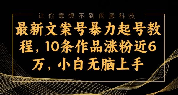 最新文案号暴力起号教程，10条作品涨粉近6万，小白无脑上手-huitchan网创