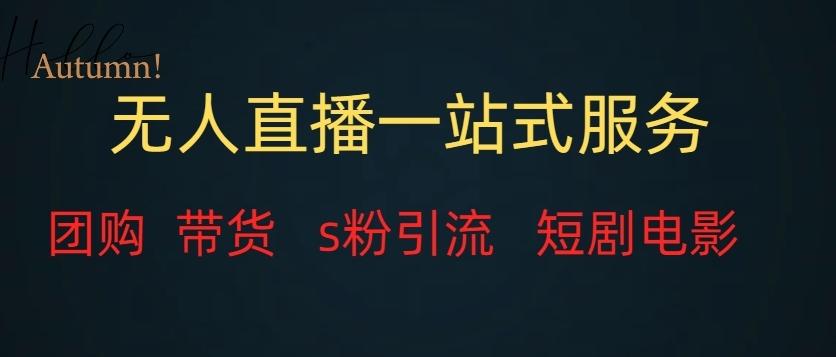 无人直播一站式服务（教程以及变现方式）-huitchan网创