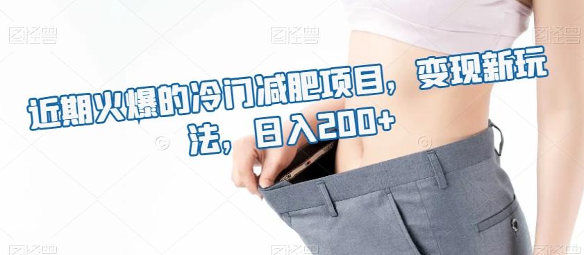 近期火爆的冷门减肥项目，变现新玩法，日入200+-huitchan网创