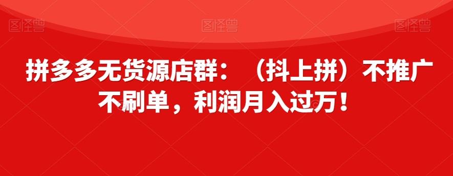 拼多多无货源店群：（抖上拼）不推广不刷单，利润月入过万！【揭秘】-huitchan网创