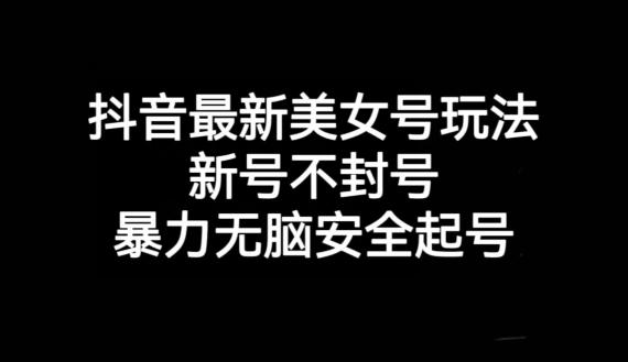 抖音最新美女号玩法，新号不封号，暴力无脑安全起号【揭秘】-huitchan网创