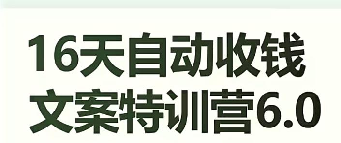 16天自动收钱文案特训营6.0，学会儿每天自动咔咔收钱-huitchan网创