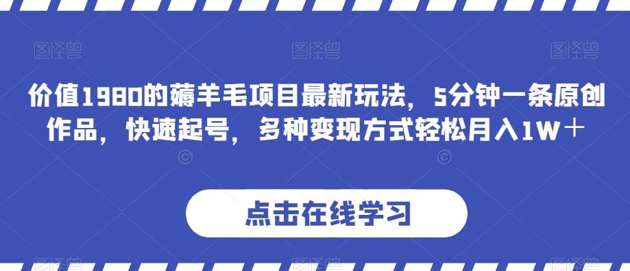价值1980的薅羊毛项目最新玩法，5分钟一条原创作品，快速起号，多种变现方式轻松月入1W＋【揭秘】-huitchan网创