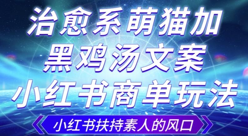 治愈系萌猫加+黑鸡汤文案，小红书商单玩法，3~10天涨到1000粉，一单200左右-huitchan网创
