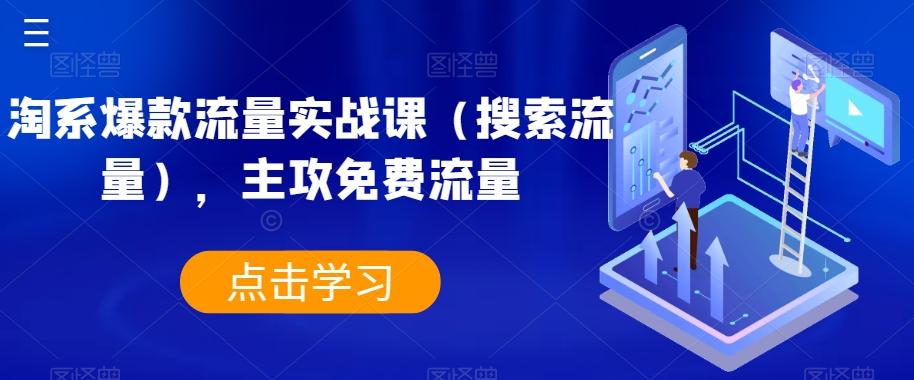 淘系爆款流量实战课（搜索流量），主攻免费流量-huitchan网创