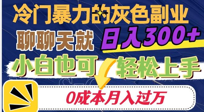 冷门暴利的副业项目，聊聊天就能日入300+，0成本月入过万【揭秘】-huitchan网创