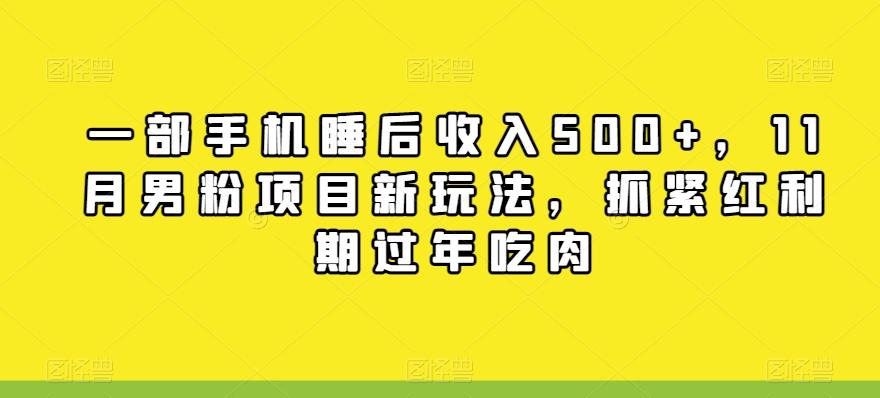 一部手机睡后收入500+，11月男粉项目新玩法，抓紧红利期过年吃肉-huitchan网创