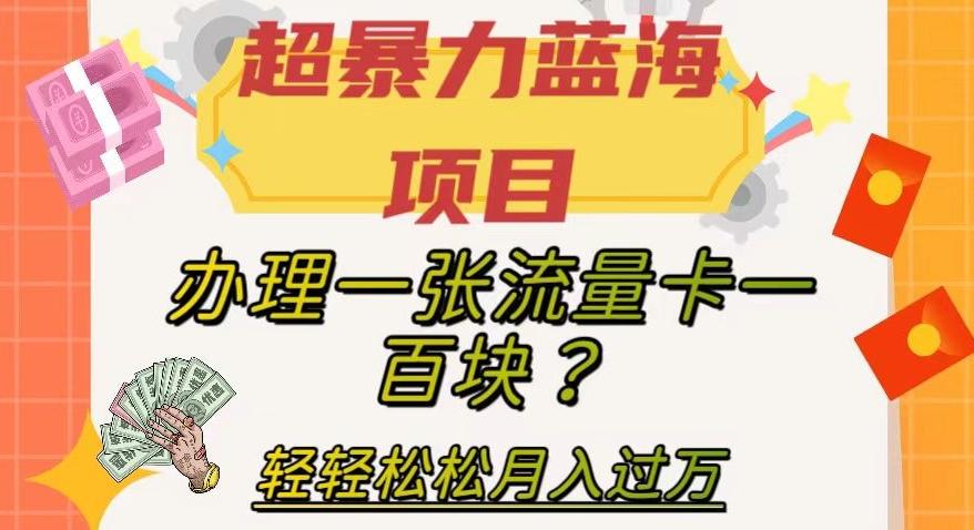 超暴力蓝海项目，办理一张流量卡一百块？轻轻松松月入过万，保姆级教程【揭秘】-huitchan网创
