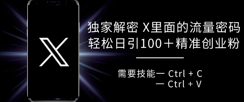 独家解密 X 里面的流量密码，复制粘贴轻松日引100+-huitchan网创