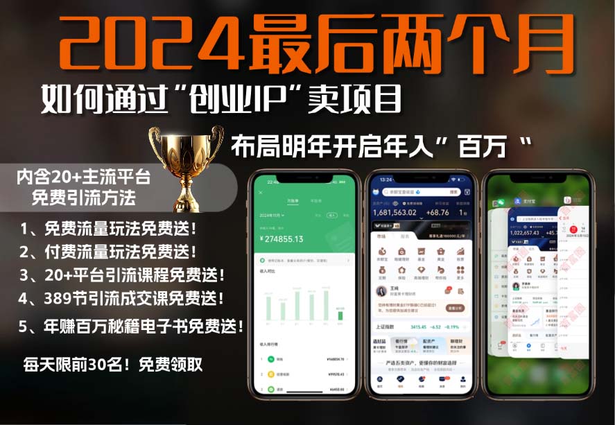 2024最后两个月如何通过”创业IP“卖项目年入”百万“,创业IP+最强引流...-huitchan