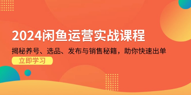2024闲鱼运营实战课程：揭秘养号、选品、发布与销售秘籍，助你快速出单-huitchan网创