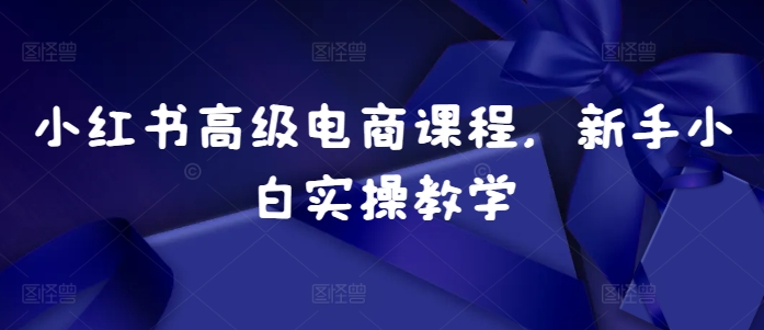 小红书高级电商课程，新手小白实操教学-huitchan网创
