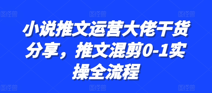 小说推文运营大佬干货分享，推文混剪0-1实操全流程-huitchan