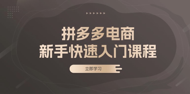 拼多多电商新手快速入门课程：涵盖基础、实战与选款，助力小白轻松上手-huitchan网创