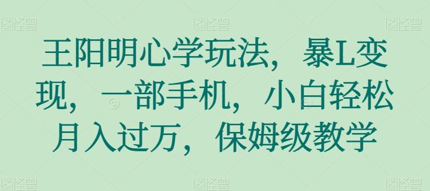 王阳明心学玩法，暴L变现，一部手机，小白轻松月入过万，保姆级教学【揭秘】-huitchan网创