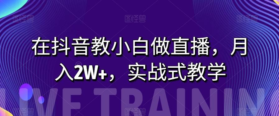 在抖音教小白做直播，月入2W+，实战式教学【揭秘】-huitchan网创