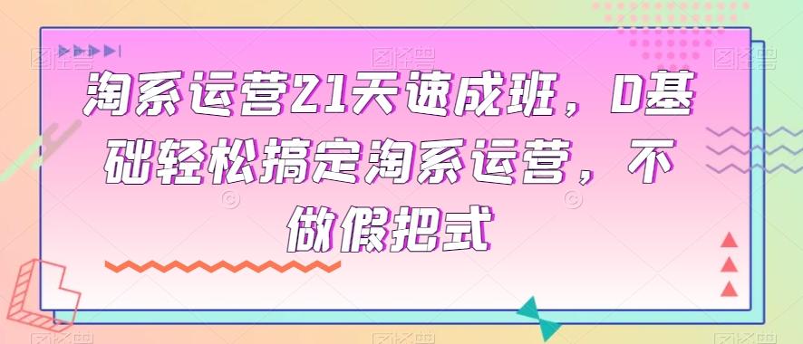 淘系运营21天速成班，0基础轻松搞定淘系运营，不做假把式-huitchan网创