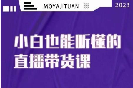 大威本威·能听懂的直播带货课，小白也能听懂，20节完整-huitchan网创