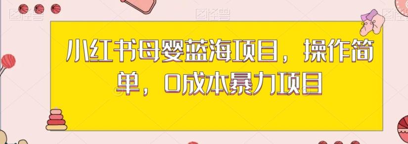 小红书母婴蓝海项目，操作简单，0成本暴力项目-huitchan网创