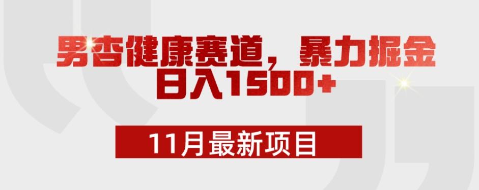 11月最新项目，男杏健康赛道，暴力掘金，日入1500+-huitchan网创