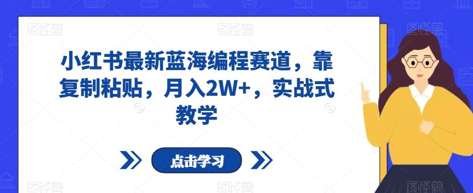 小红书最新蓝海编程赛道，靠复制粘贴，月入2W+，实战式教学【揭秘】-huitchan网创