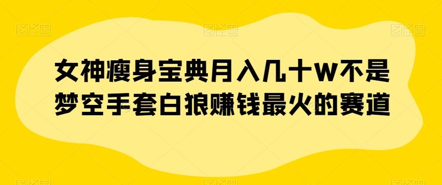 女神瘦身宝典月入几十W不是梦空手套白狼赚钱最火的赛道【揭秘】-huitchan网创