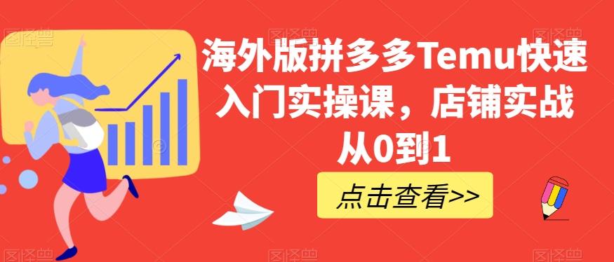 海外版拼多多Temu快速入门实操课，店铺实战从0到1-huitchan网创