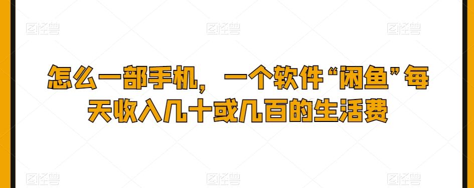 怎么一部手机，一个软件“闲鱼”每天收入几十或几百的生活费-huitchan网创