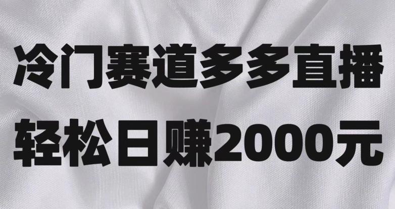 冷门赛道拼多多直播，简单念稿子，日收益2000＋【揭秘】-huitchan网创
