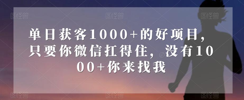 单日获客1000+的好项目，只要你微信扛得住，没有1000+你来找我【揭秘】-huitchan网创