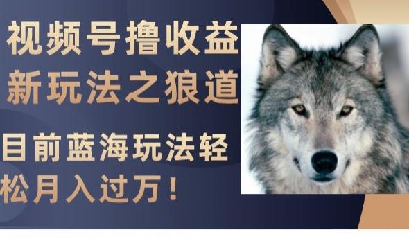 视频号撸收益新玩法之狼道，目前蓝海玩法，轻松月入过万【揭秘】-huitchan网创