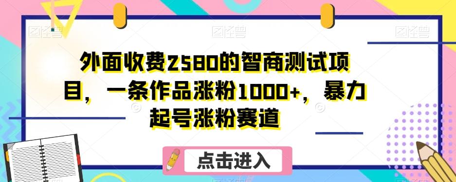 外面收费2580的智商测试项目，一条作品涨粉1000+，暴力起号涨粉赛道【揭秘】-huitchan网创