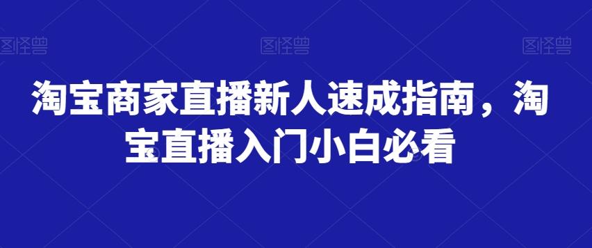 淘宝商家直播新人速成指南，淘宝直播入门小白必看-huitchan网创