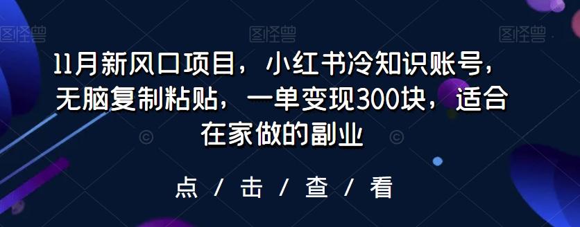 11月新风口项目，小红书冷知识账号，无脑复制粘贴，一单变现300块，适合在家做的副业-huitchan网创