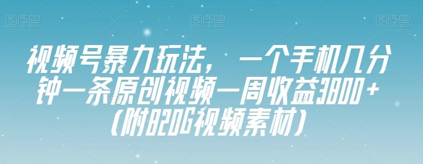 视频号暴力玩法，一个手机几分钟一条原创视频一周收益3800+（附820G视频素材）-huitchan网创