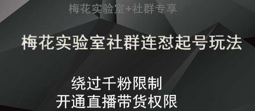 梅花实验室社群连怼起号玩法，视频号绕过千粉限制，开通直播带货权限【揭秘】-huitchan网创
